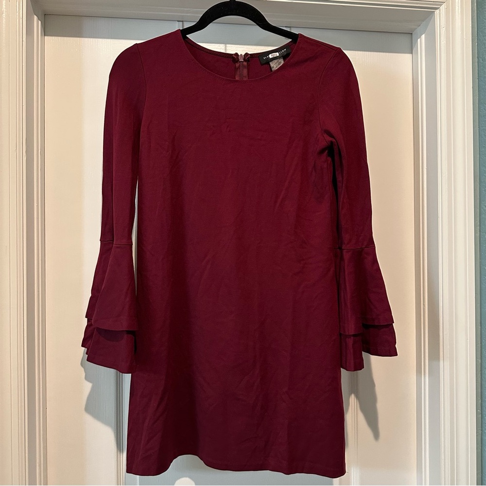 Slate & Willow Maroon Long Sleeve Dress